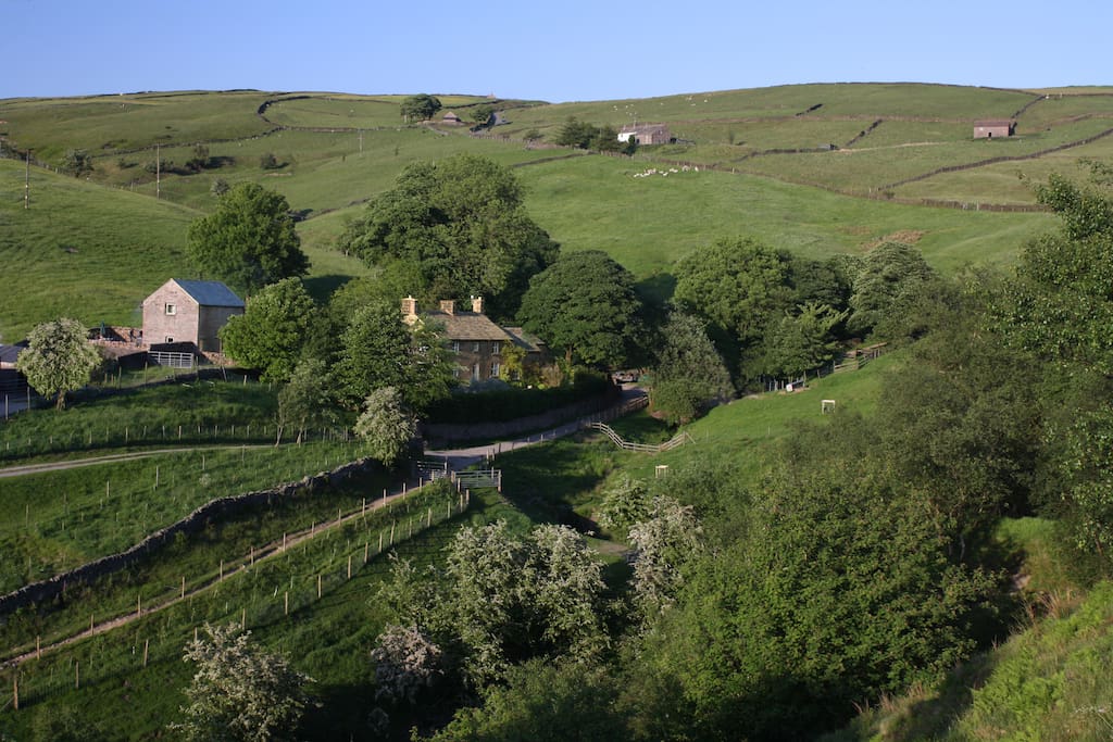 Farbrook Farm