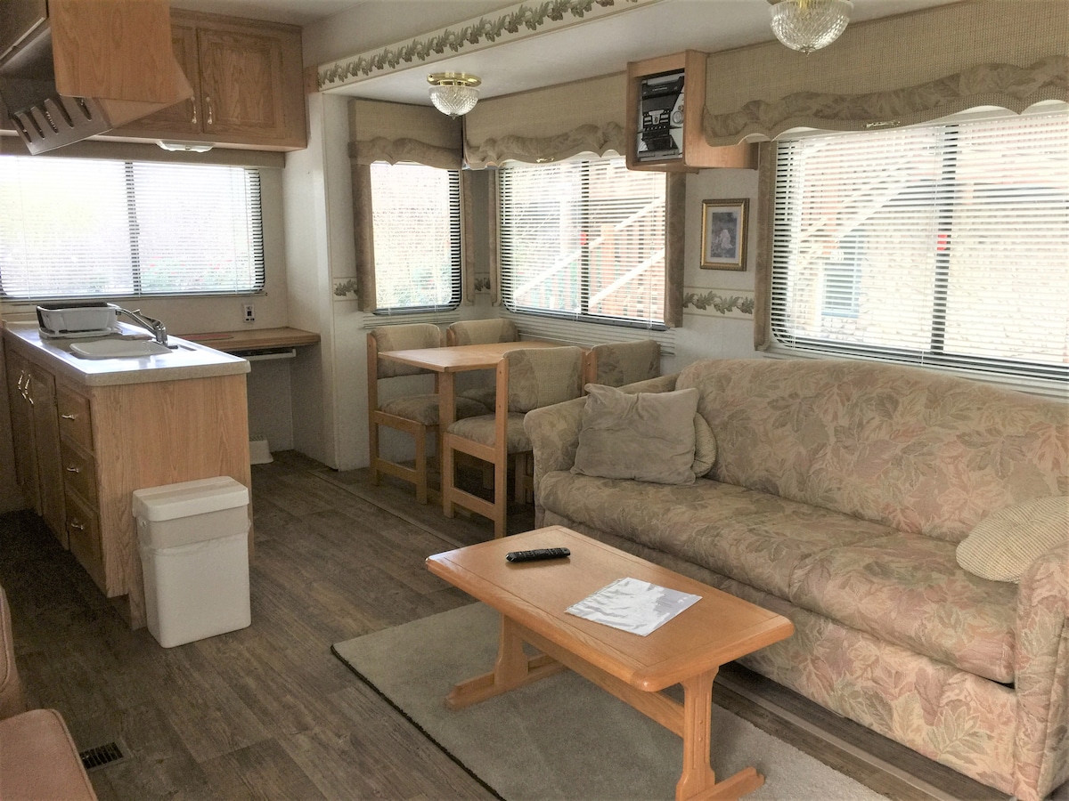 An open living area features two plush seating arrangements, including a floral-patterned couch and a small table with chairs. Large windows allow natural light to fill the space, and a kitchenette is visible, with wooden cabinetry and essential appliances.
