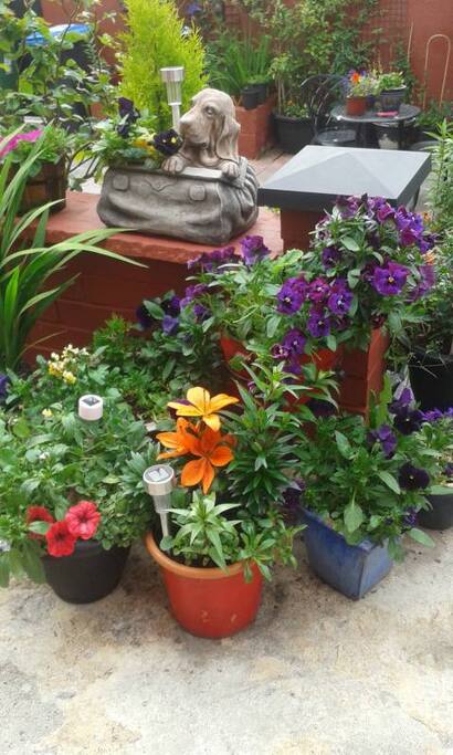nice garden