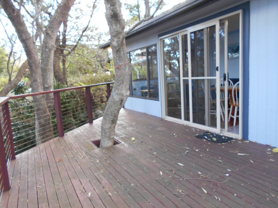 Back Patio