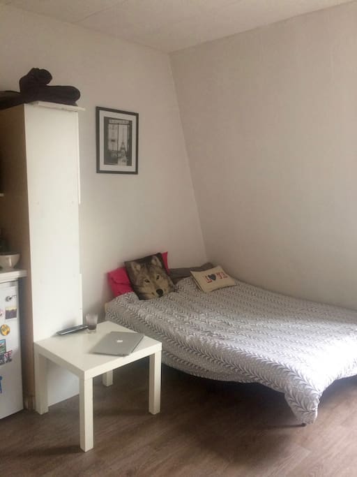 Fully furnished studio -- cosy and light during the day ! Living room with sofa bed --- Studio lumineux, avec canapé lit convertible & coin bureau/table à manger