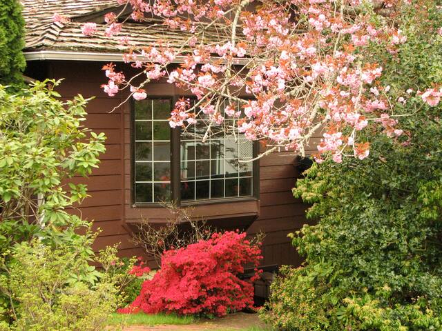 Kitties & Nature near Newport