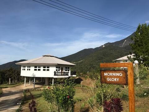 Mesilau Mountain Retreats - Morning Glory Lodge
