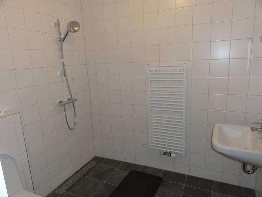 Ruime badkamer, wastafel, wc en douche.