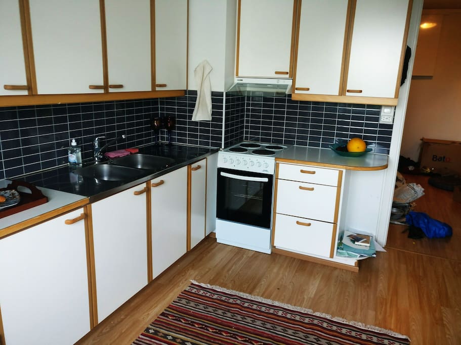 Large kitchen with tableware and coocking facilities. No dining table yet.