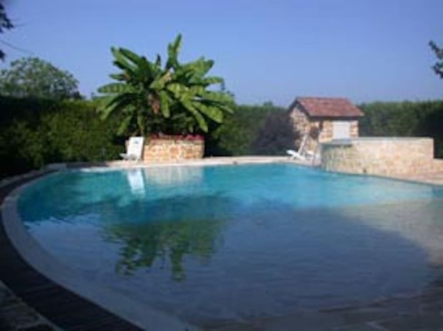 Piscne