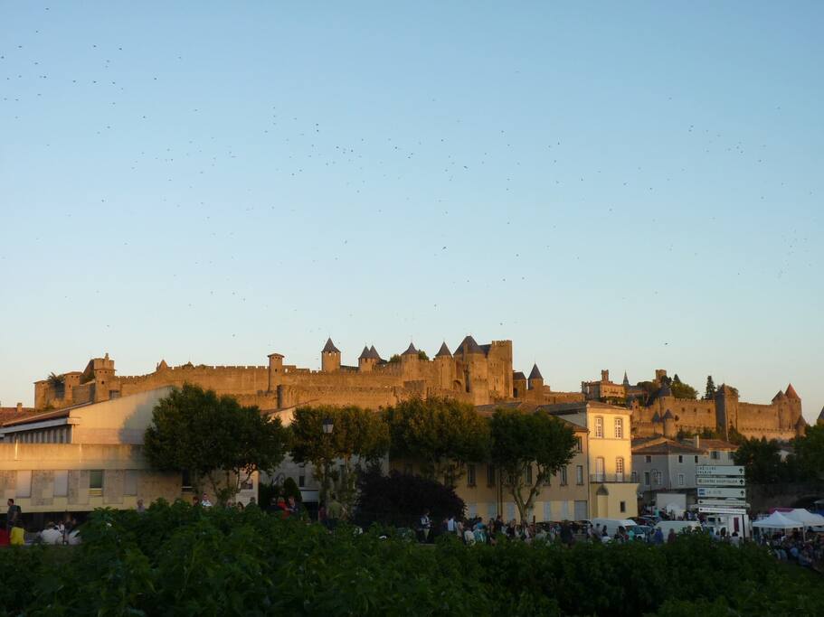 La cité de Carcassonne /Carcassonne city