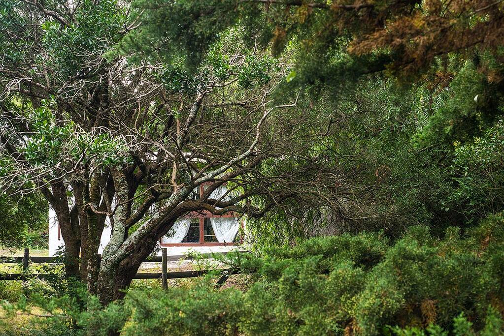 Su Casa Lavanda desde nuestra casa – vivimos al lado