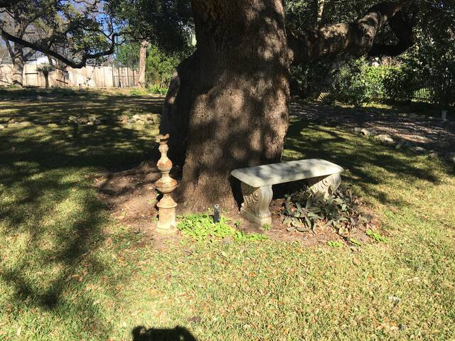 Hili’s Home gallery image 5