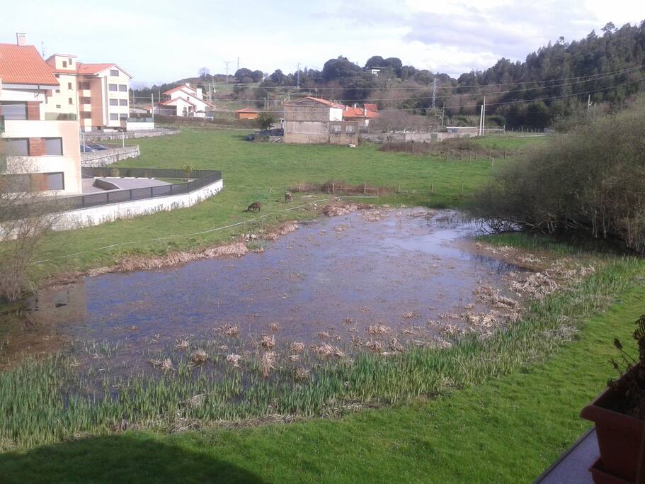vista lago