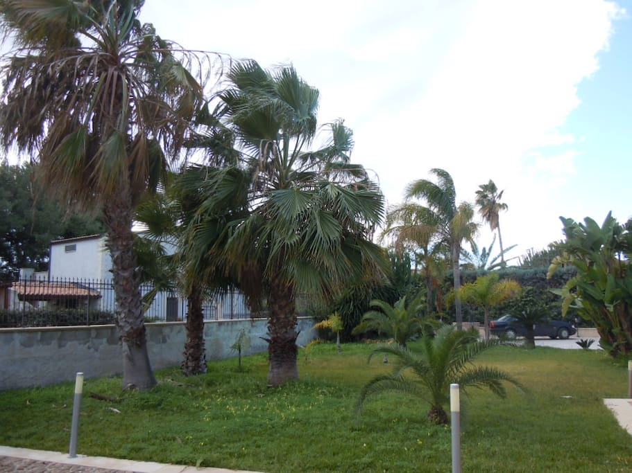 giardino