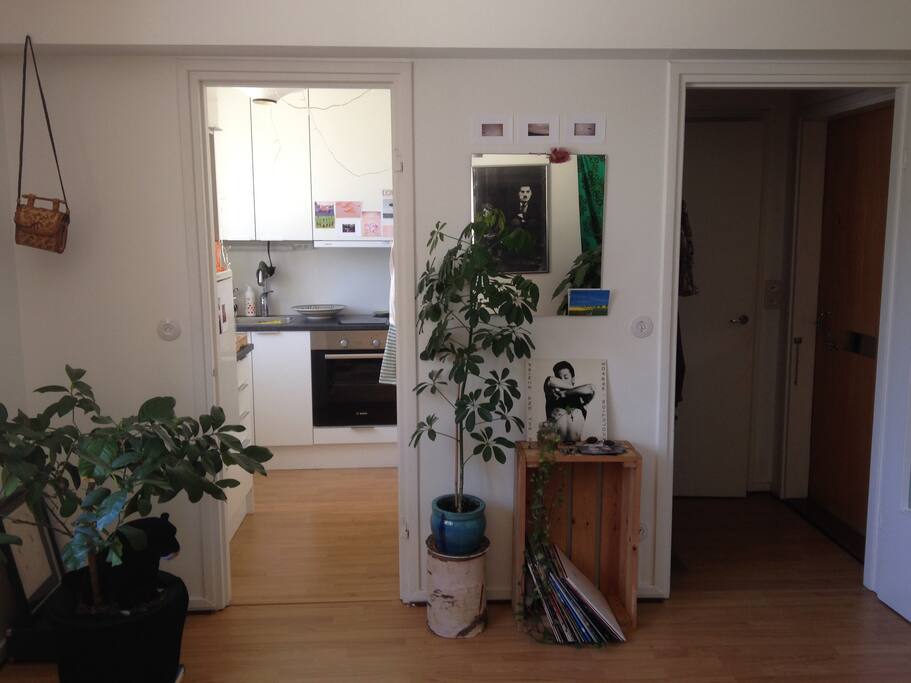 A sneakpeak to my tiny kitchen and Prince taking his shirt of for you... I guess this is his way of saying "welcome"