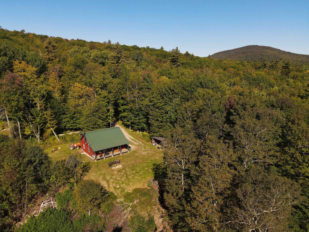 A spacious cabin is nestled among lush, green trees under clear blue skies. The surrounding forest offers a vibrant backdrop, emphasizing the secluded and tranquil location. The property features a well-maintained lawn, providing ample outdoor space for relaxation and activities.