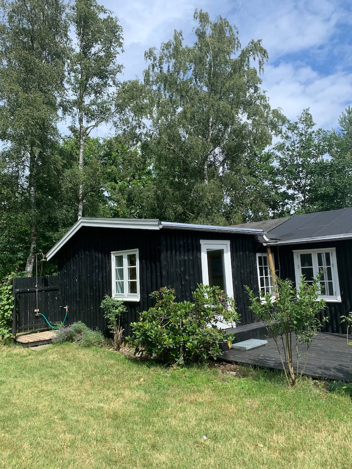 Mols Bjerge Vacation Rentals & Homes - Syddjurs, Denmark | Airbnb