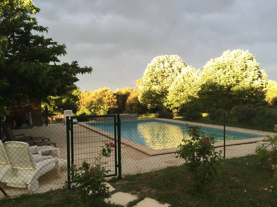 Piscine pleine nature