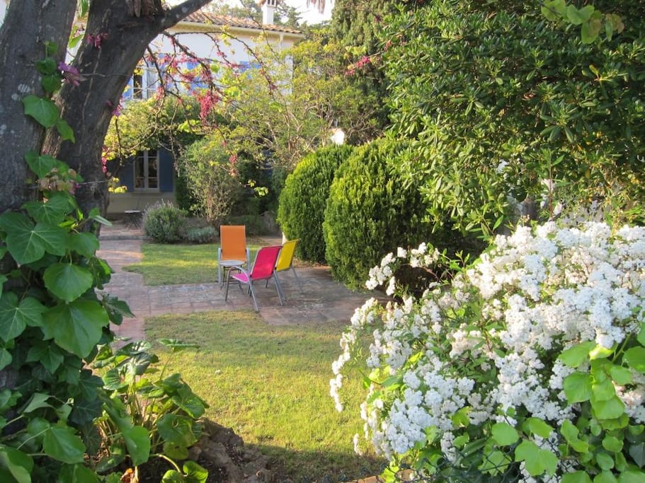 vue jardin depuis la piscine