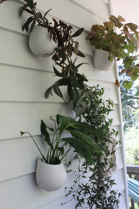 Front deck hanging plants