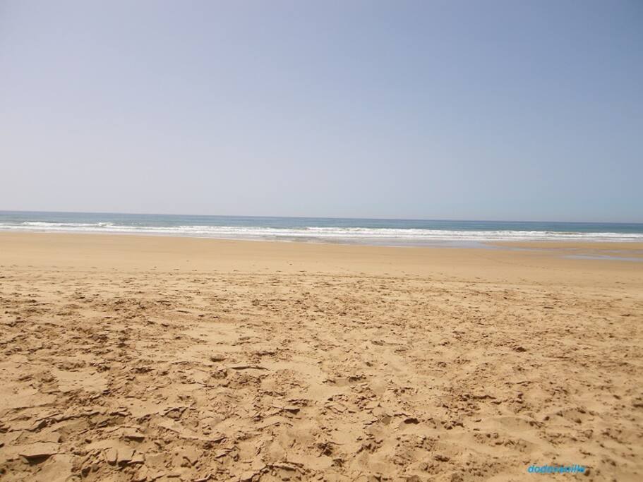 beach