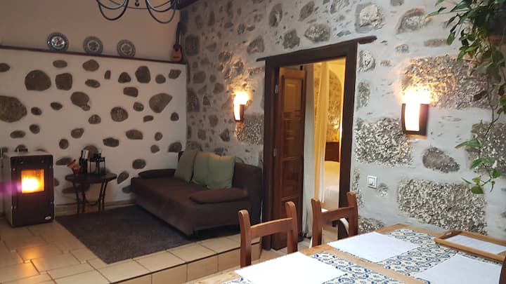 Salon with fireplace for cool winter evenings