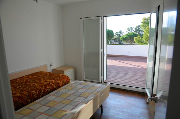 带2张单人床的双人房/双人单人房