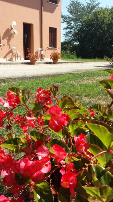 GIARDINO