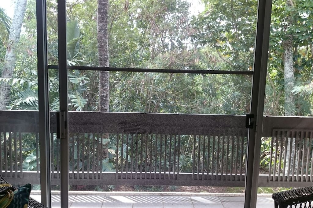 View from the lanai
