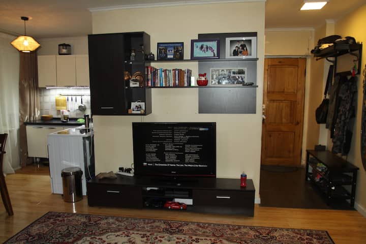 Cozy One-bedroom Apartment In Downtown Ulaanbaatar - 烏蘭巴托