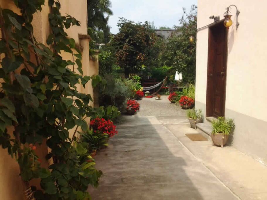 Ingresso
