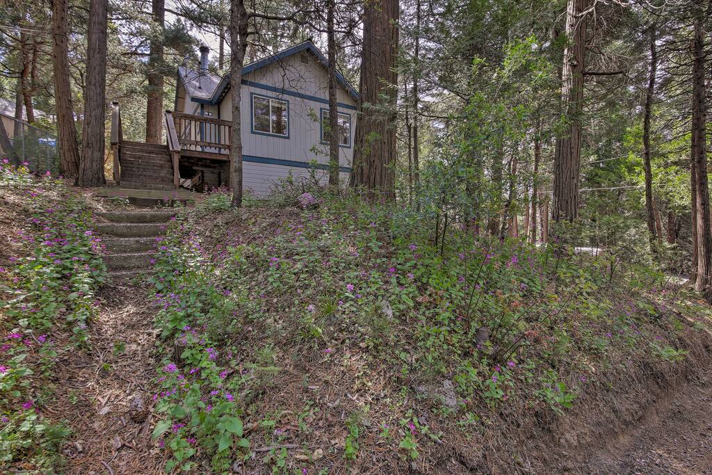 Nestled amidst the forest, you’ll be well away from everyday stresses.