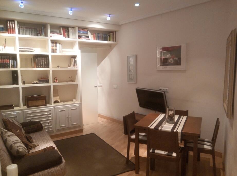El salón, con el sofá-cama y la estantería.