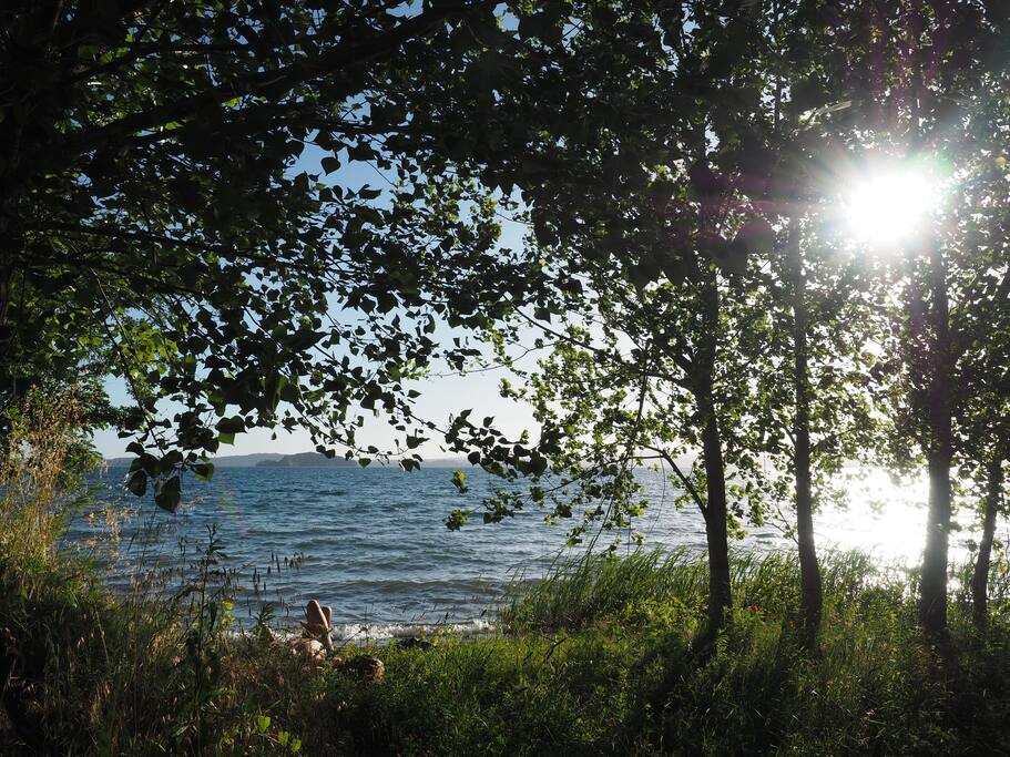 beach in front of the gate