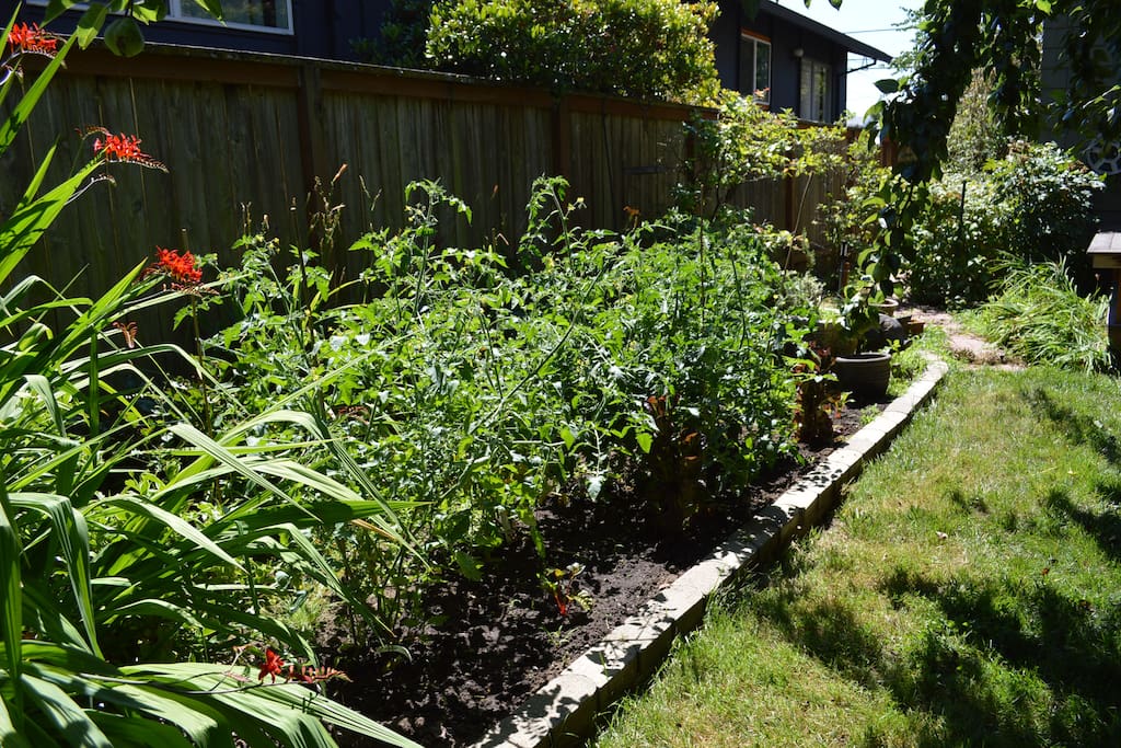 Heirloom tomatoes are starting to show up, along with blackberries, raspberries, pears, blueberries, and more