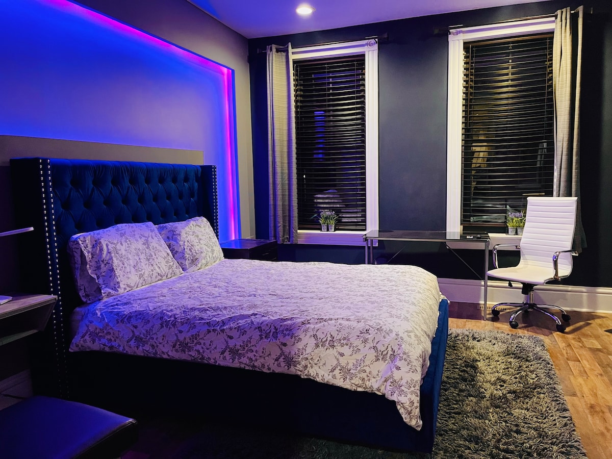 A cozy bedroom features a royal blue velvet bed with a floral-patterned bedding set. Soft LED lighting in hues of purple emphasizes the room's modern design. Two large windows are dressed with sheer curtains, allowing natural light to filter through while providing a view of the outdoors.
