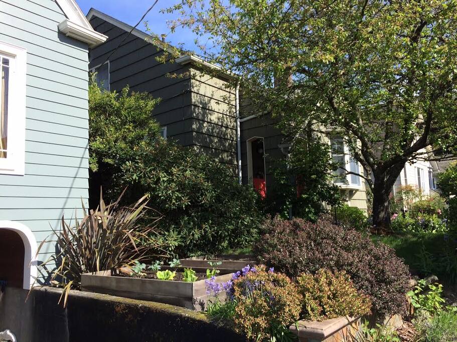 Garden Boxes