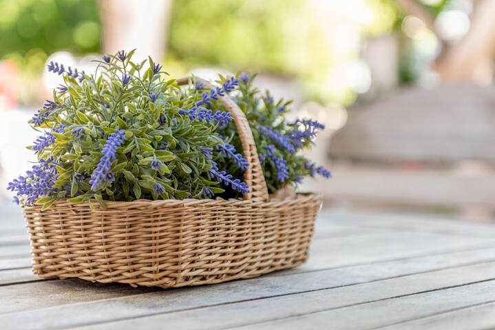 Can Garreta gallery image 4