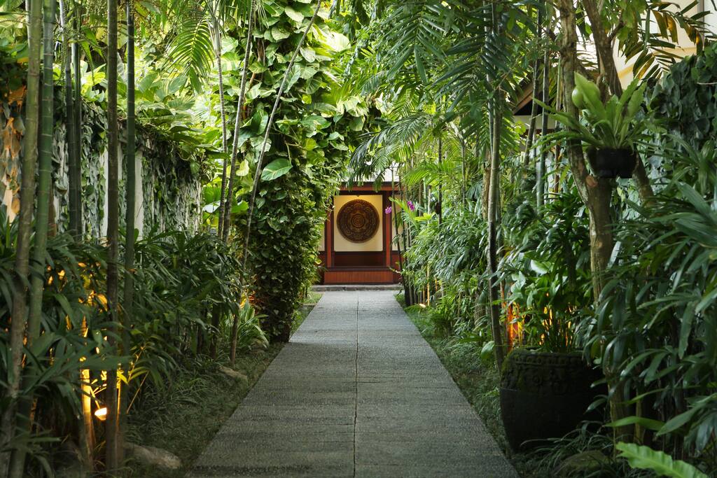 Tropical Lush Garden Pathway