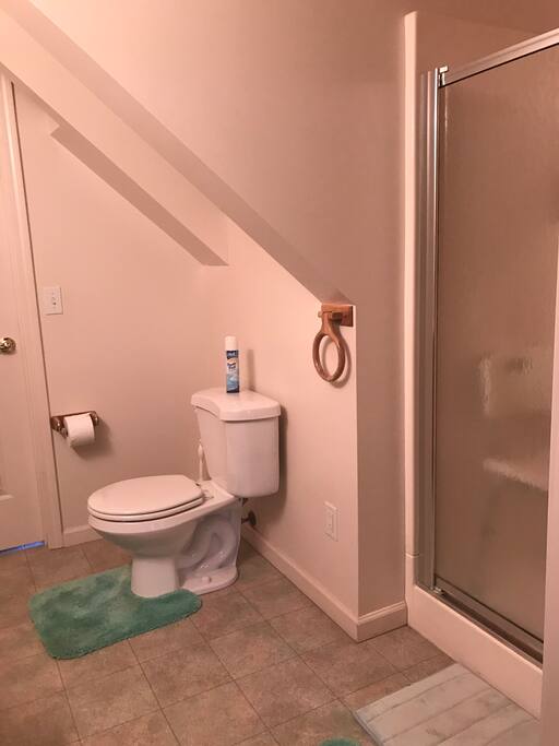 Shared bath located in the main floor just off the mud room.