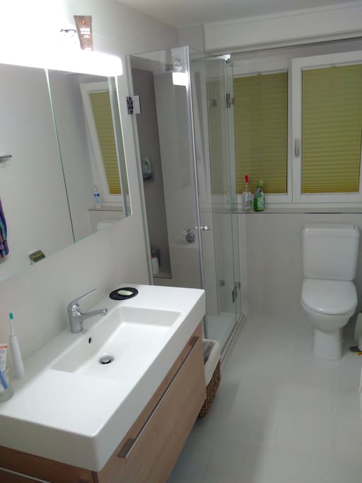 Modern Bathroom with Shower