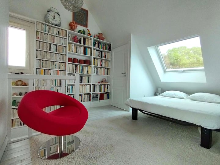 Cojinete biblioteca (habitación 5)
Cojinete sofá cama segunda planta
Lugar de paso hacia habitaciones 3 y 4