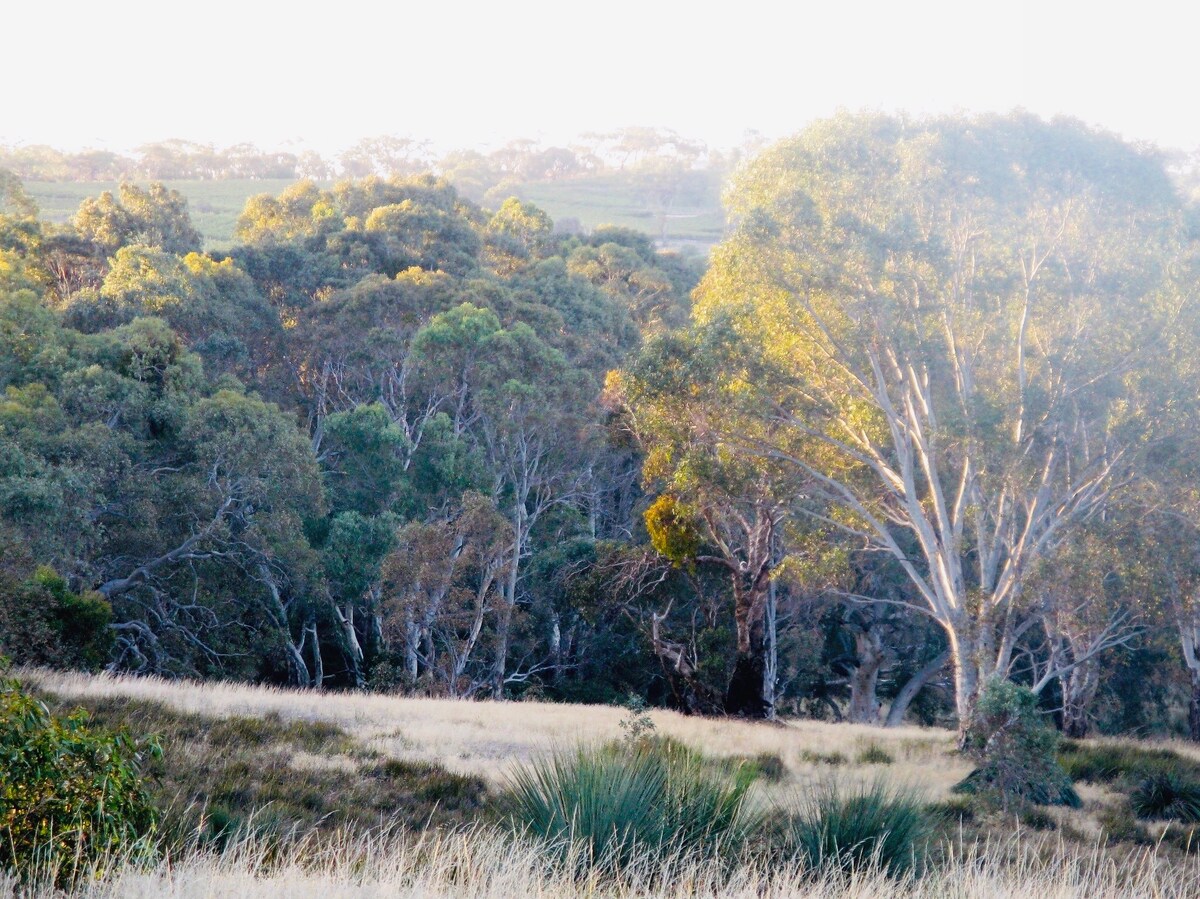 Wings Barossa Retreat