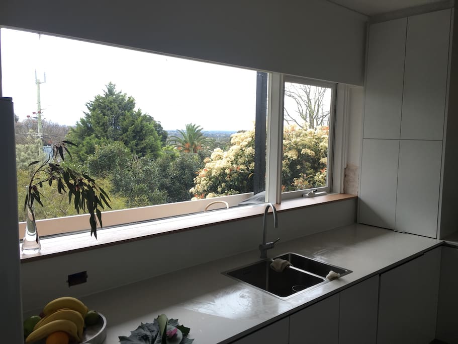 Kitchen window