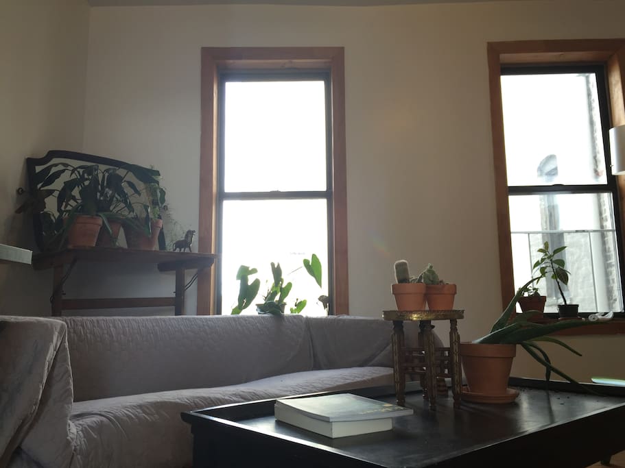 Great view of the Williamsburg Bridge, projector, and plants and plants and plants.
