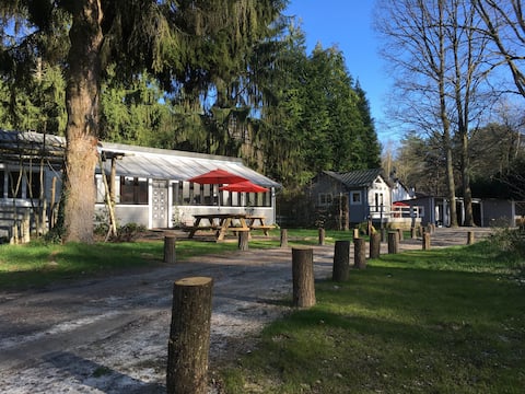 les 3 Gîtes - Cottage + chalet