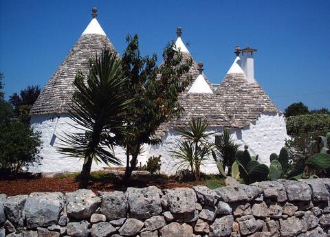 Trullo del Castagno (CIS) BR07400591000000138