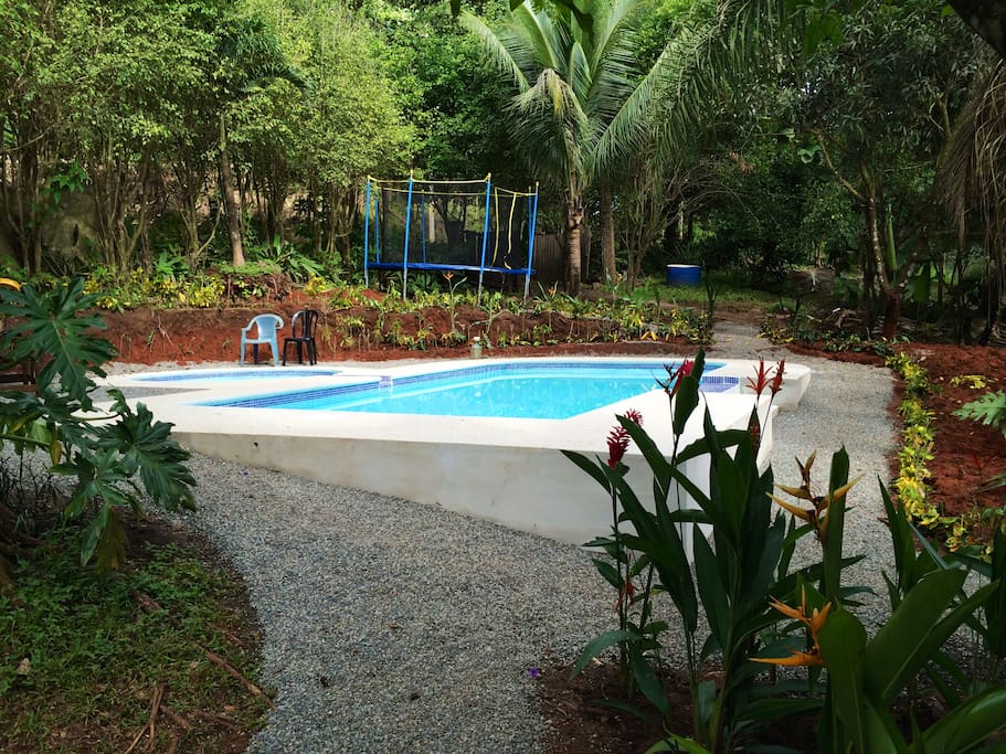 Pool and gardens
