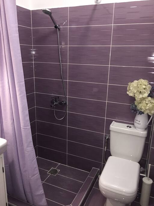 wc and shower