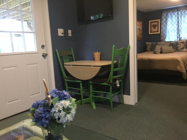 Spacious Pet Friendly 1bd Apt W/ Devoted Entrance. - Boston, MA