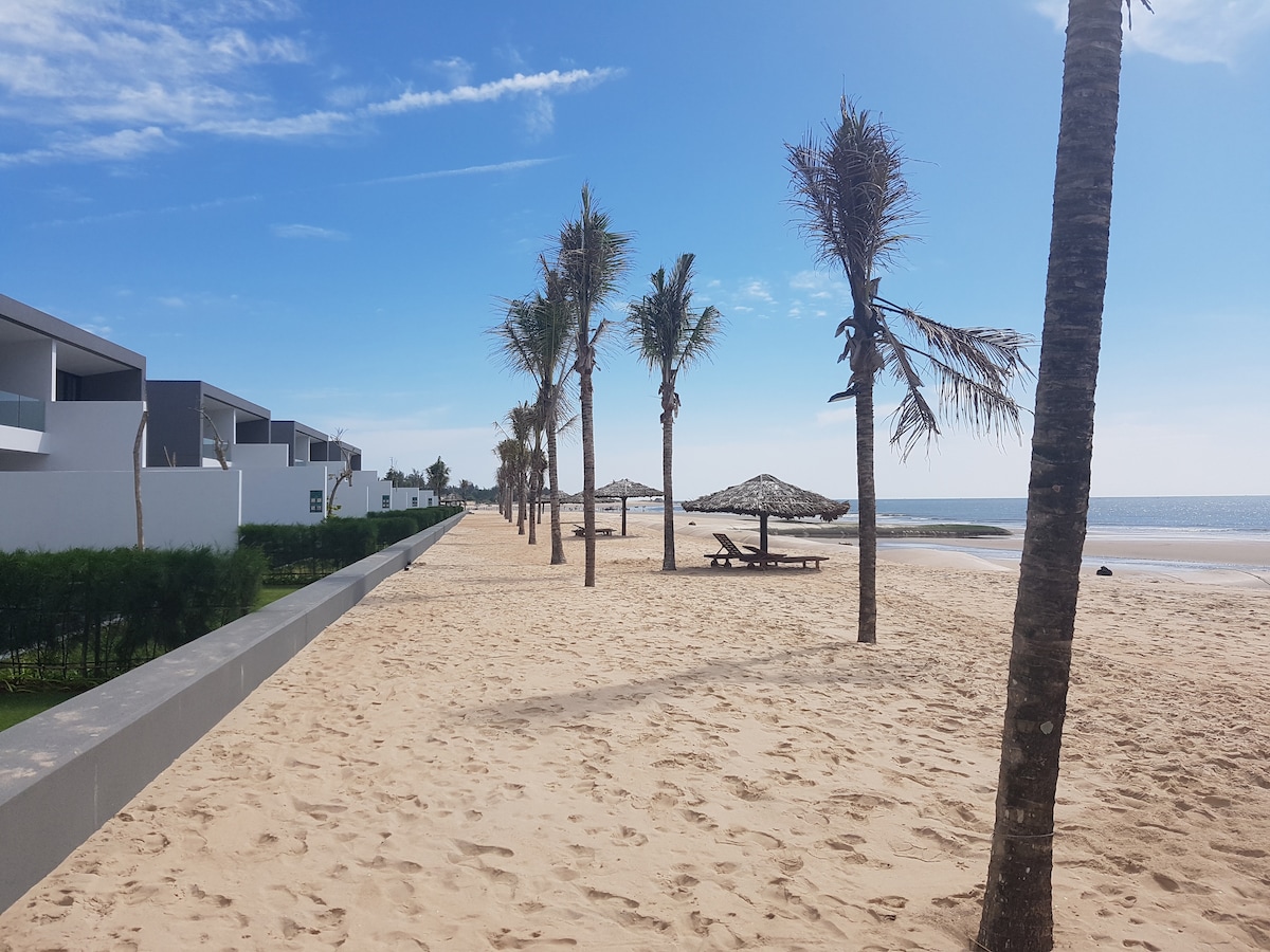 A sandy beach is lined with palm trees, creating a relaxed environment. Thatched umbrellas provide shade alongside wooden lounge chairs, while the gentle waves of the ocean are visible in the background. The beach offers a clear view of the sky, enhancing the serene atmosphere.