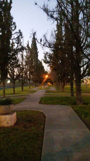 Áreas Verdes para salir a hacer ejercicio o una caminata relajante para pensar :-)