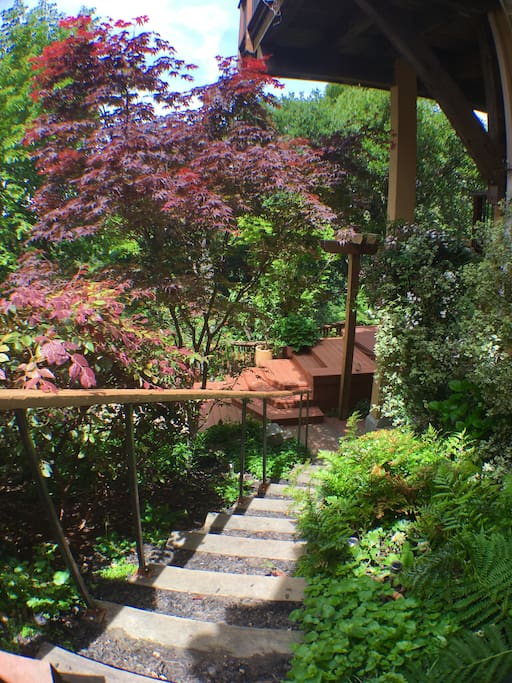 There are stairs down to patio